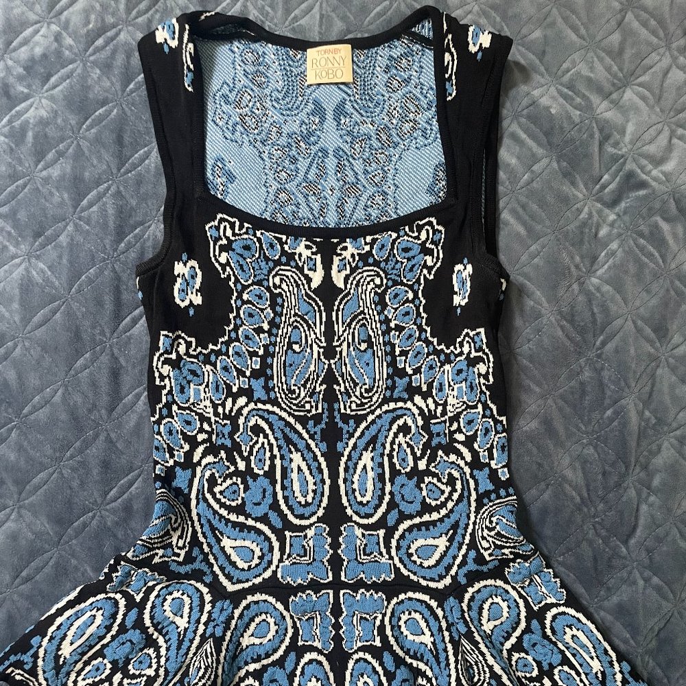 Torn by Ronny KoBo Peplum Top